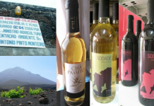 Construção definitiva da Adega de Chã das Caldeiras Adega de Chã das Caldeiras