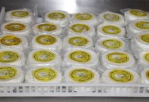 Abandono da fábrica de queijo preocupa criadores que defendem o aproveitamento da unidade queijo de Bolona