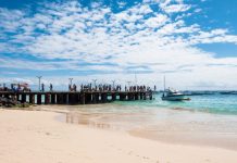 Roadshow Cabo Verde na Coraçon Roadshow Cabo Verde na Coraçon