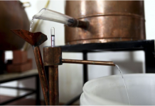 Confraria do grogue defende laboratório para análise e certificação da aguardente Confraria do Grogue