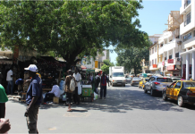 Santa Cruz e Thiès (Senegal) vão desenvolver cooperação no turismo alternativo Câmara Municipal de Santa Cruz