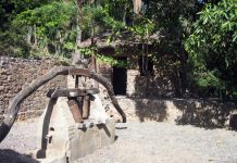 A fiscalização da produção do Grogue