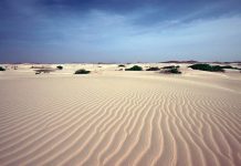 Soltrópico e Solférias lançam charter de Fim-de-Ano para a Boavista Ilha da Boavista