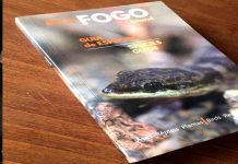 Primeiro guia de espécies da ilha do Fogo