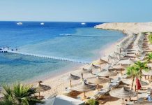 Este é o lugar mais trendy do Pinterest lugar mais trendy do Pinterest