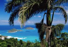 Sonhando promove São Tomé e Príncipe Sonhando promove São Tomé