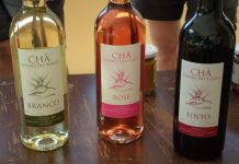 Ilha Fogo recebe visita da equipa responsável pela realização do estudo de denominação de origem do vinho