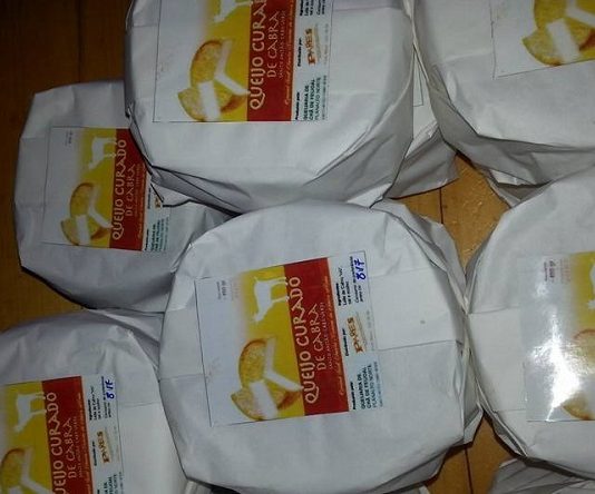 Queijo do Planalto Norte entre melhores do mundo