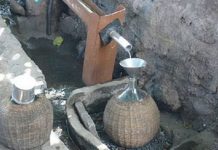 Experiência piloto de engarrafamento e exportação de grogue velho e derivados a partir de Outubro