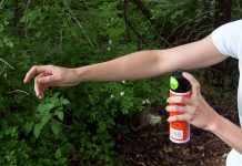 Direcção Geral de Saúde desaconselha viagens de grávidas à ilha de Santiago Direcção Geral de Saúde