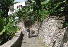 ZDTI vão ser realidade com criação da sociedade de desenvolvimento de Santo Antão ZDTI vão ser realidade em Santo Antão