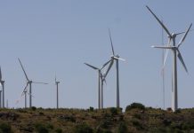 Boas práticas na área da energia renovável atraem comitiva de Cabo Verde à Madeira