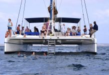 Viator proporciona-lhe momentos inesquecíveis