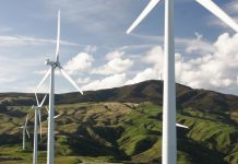 Ambiente é setor de “grandes oportunidades” em Cabo Verde