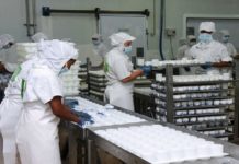 Fábrica de queijo ressente-se da seca