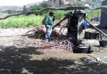 Certificação e reforço da fiscalização do grogue para 2018