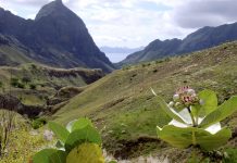 Turismo de Santo Antão em alta procura