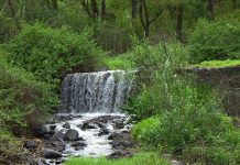 Ribeirinha lugar de alto valor rural
