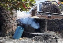 Reconhecimento internacional do vinho do Fogo estimula produtores do grogue de Santo Antão