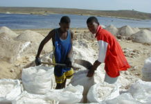 Salinas de Porto Inglês vai contar com trilho de passagem e tanque de banho terapêutico