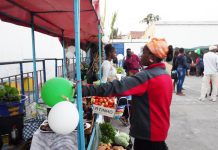Feira de Cinza de Santa Catarina