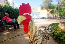 URDI 2020 – 22 Municípios 1 Rede Nacional