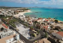 Grupo de investigadores lusófonos descobre primeiro berçário de tubarões no Atlântico Este