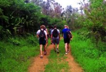 Turismo de caminhada-evolução a passos largos