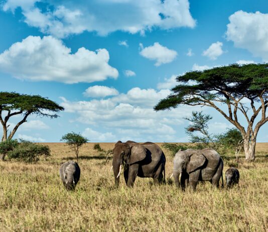 Turismo: US$ 168 bilhões nos próximos 10 anos