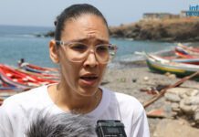 Porto Mosquito: Festival do Peixe promove “consumo sustentável e responsável”