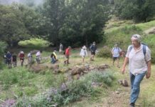 Santo Antão tornou-se em um dos destinos mais procurados pelos amantes dos trilhos e mergulho