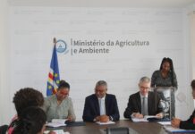 Direção Nacional do Ambiente e PNUD assinam Protocolo