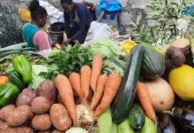 Agricultura: Mercados turísticos receberam 57 toneladas de produtos exportados de Santo Antão no primeiro semestre