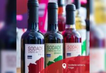 Fogo: Adega Sodade com queda na produção de vinho em relação à vindima do ano passado