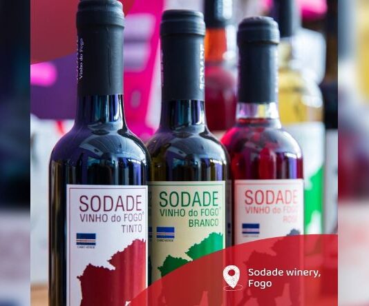 Fogo: Adega Sodade com queda na produção de vinho em relação à vindima do ano passado
