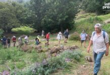 Governo anuncia investimentos de mais de 110 mil contos no turismo em Santo Antão