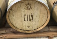 Adega Cooperativa de Chã das Caldeiras participa no Cervim com três vinhos da colheita de 2025