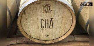 Adega Cooperativa de Chã das Caldeiras participa no Cervim com três vinhos da colheita de 2025