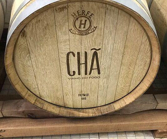 Adega Cooperativa de Chã das Caldeiras participa no Cervim com três vinhos da colheita de 2025